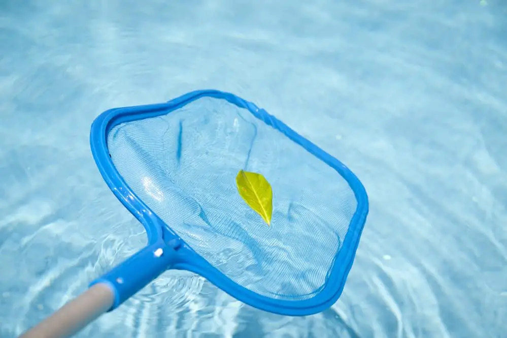best-pool-skimmer