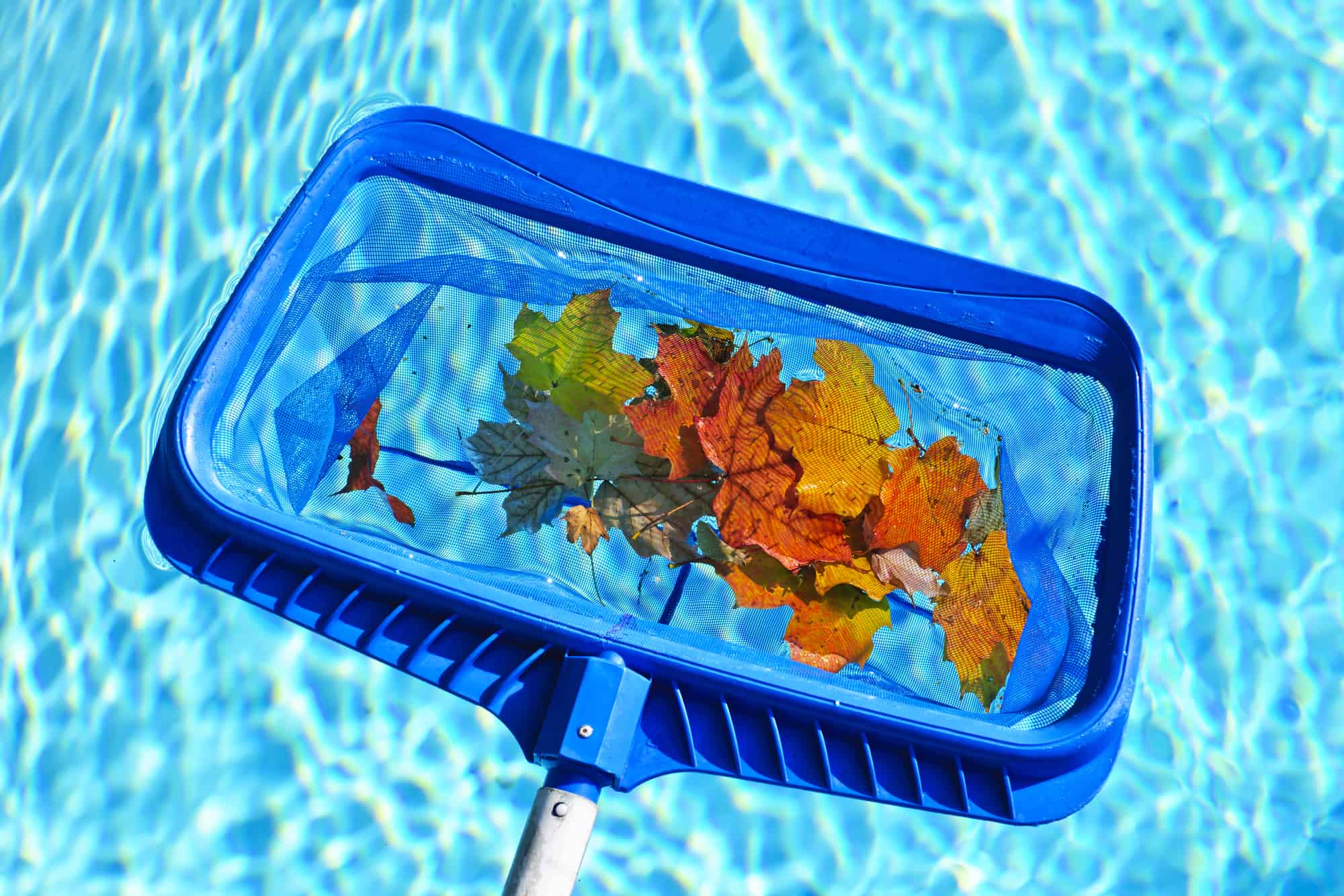 collecting leaves from kiddie pool