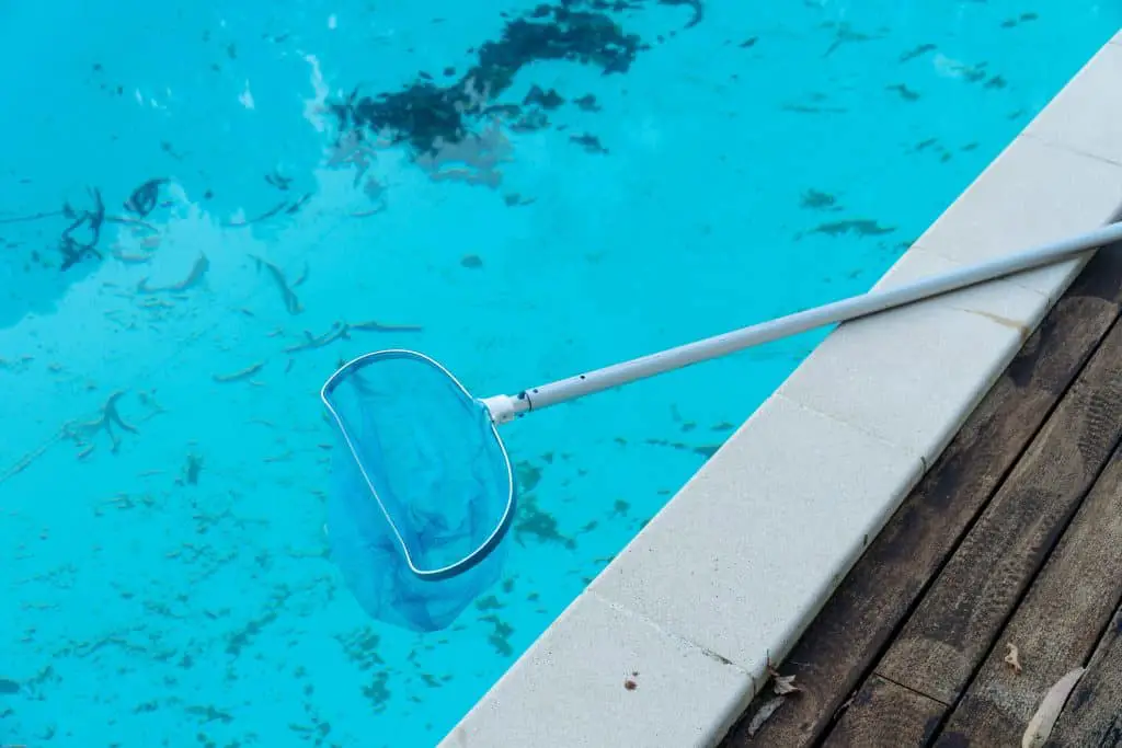 Pool Water Mold At Lynette Adams Blog