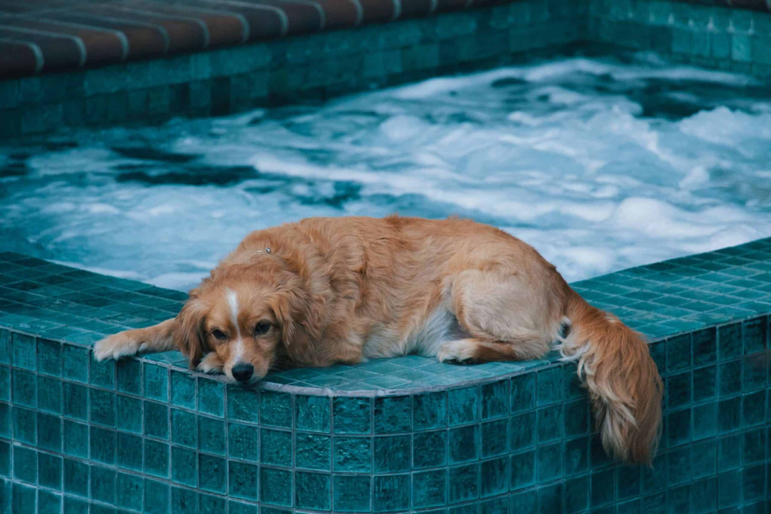Can You Put Bubble Bath in a Jacuzzi? - Pool Care Guy