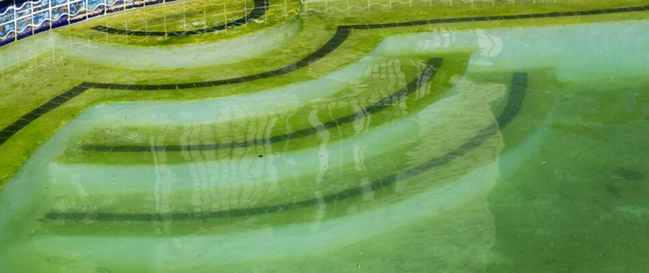 Cloudy Swimming Pool with green algea